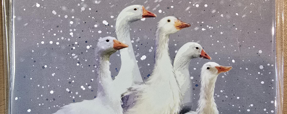 [Image Description: A painted image of five Geese huddled in a snowy environment]