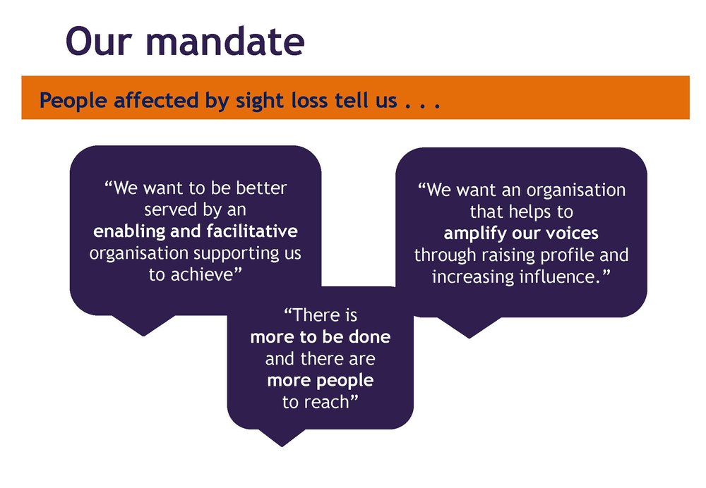 People affected by sight loss tell us..."We want to be better served by an enabling and facilitative organisation supporting us to achieve". "There is more to be done and there are more people to reach." "We want an organisation that helps to amplify our voices through raising profile and increasing influence."