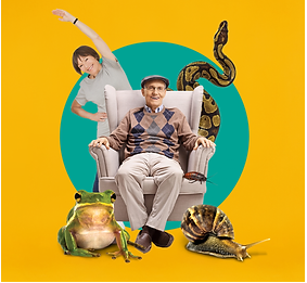 A graphic image with a yellow background and green circle in the centre. A photo of an elderly man sitting in an armchair sits in the centre and surrounded by animals. A person stands behind the chair doing arm stretches.